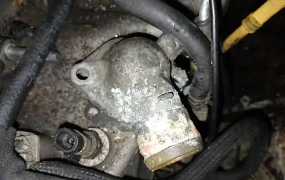 Chevrolet Captiva Engine coolant pipe/hose 