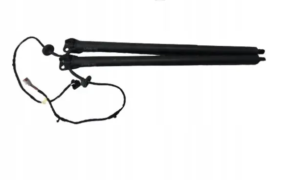 Ford Kuga III Tailgate/trunk strut/damper LV4BS402A54AE V4BS402A55AE
