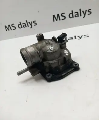 Thermostat/thermostat housing