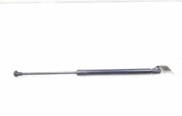 Tailgate strut