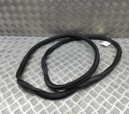 Peugeot 308 Rubber seal front door (on door) 9830825780