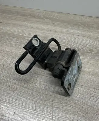 Volkswagen PASSAT CC Front door lower hinge 3C8831412G