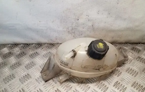 Opel Movano B Coolant expansion tank/reservoir cap 217100015R