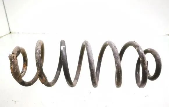 Rear coil spring