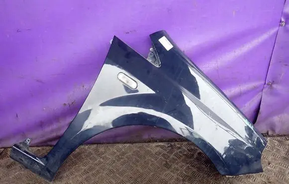 Fiat Punto (199) Fender 