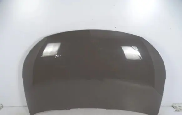 Engine bonnet/hood