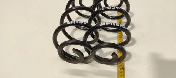 Volkswagen PASSAT B5.5 Rear coil spring