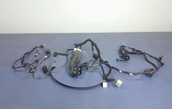 Ford Mustang I Other wiring loom FR3T-14631-SBG