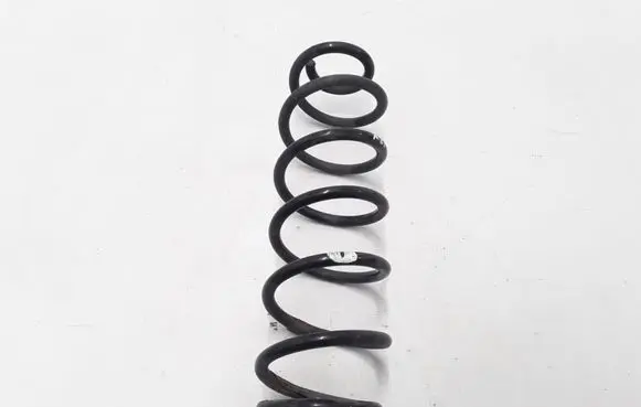 Renault Megane III Rear coil spring 550200060R