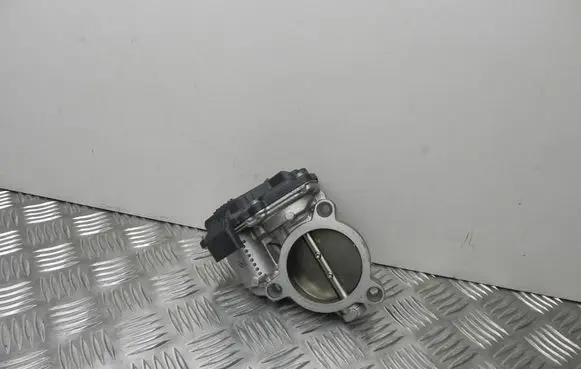 Throttle body valve