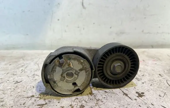 Dodge Challenger Generator/alternator belt tensioner 15909