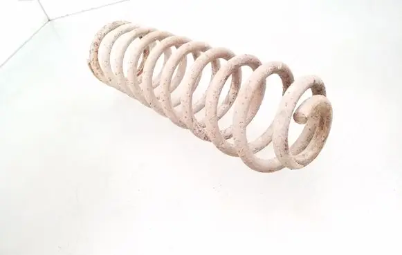 Rear coil spring