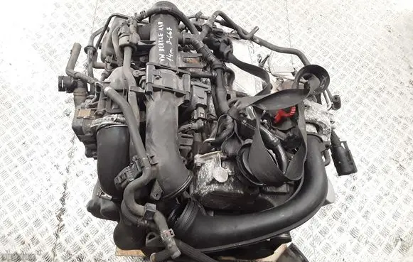 Volkswagen Beetle A5 Engine CAV