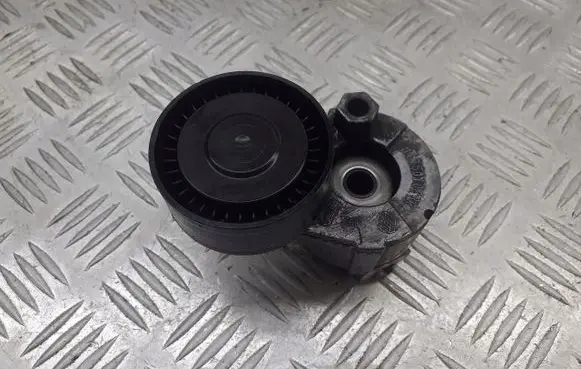 Renault Megane II Alternator belt tensioner pulley 