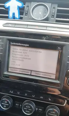 Volkswagen PASSAT B8 Screen/display/small screen 3G0919605D MIB2