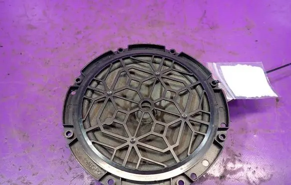 Front door speaker