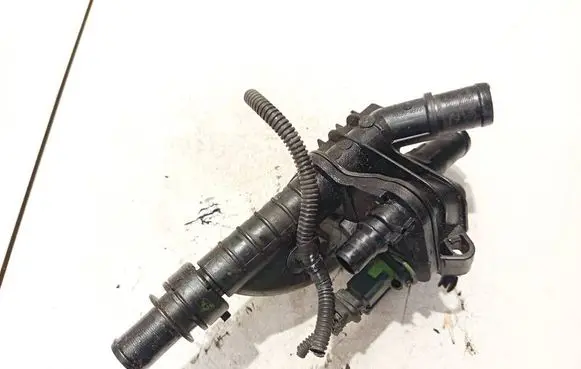 Peugeot Partner Engine coolant pipe/hose 9684588980