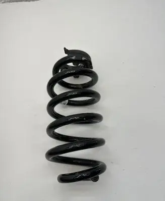 Rear coil spring