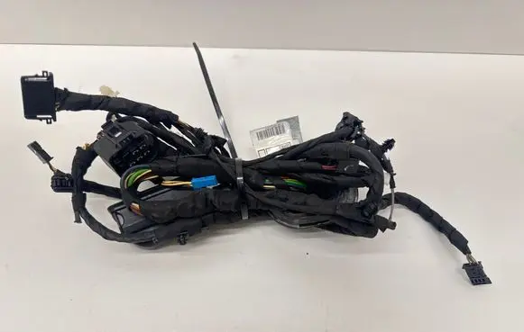 Rear door wiring loom