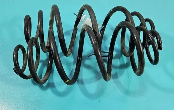 Rear coil spring