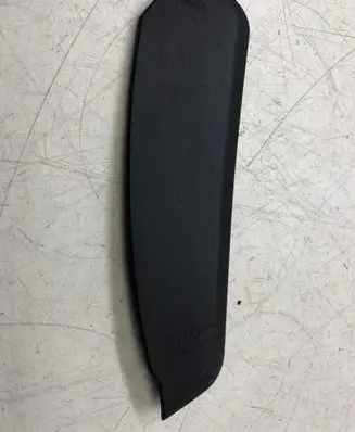 Rear/tail light trim molding