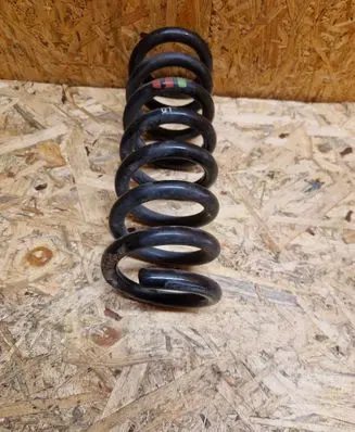Rear coil spring