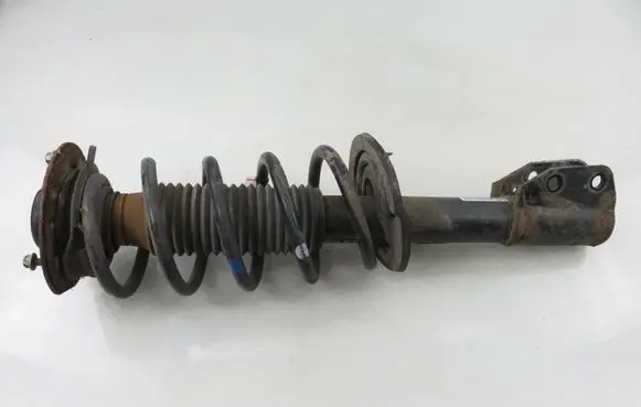 Chevrolet Captiva Front shock absorber with coil spring 95166268