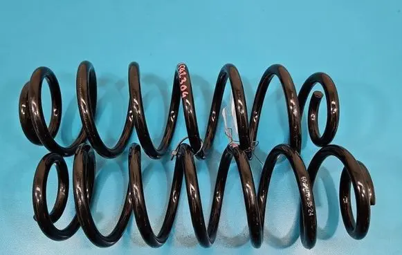 Volkswagen PASSAT B6 Rear coil spring IMPRK1582304