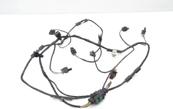 Other wiring loom