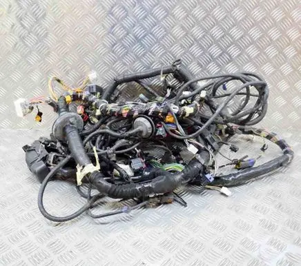 Other wiring loom