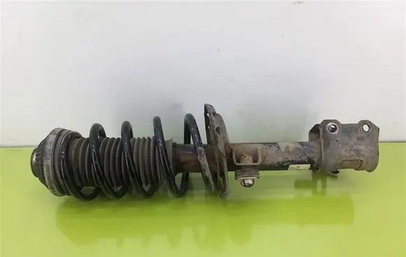 Opel Zafira B Front shock absorber with coil spring