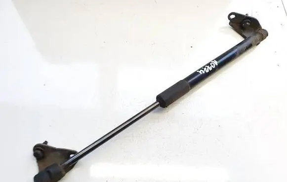 Tailgate/trunk strut/damper