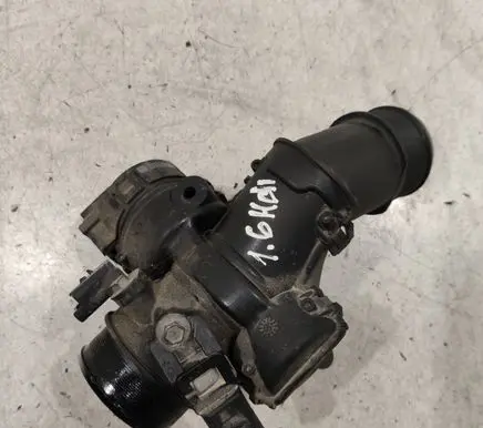 Citroen Xsara Picasso Throttle valve 9660030580