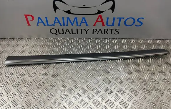 Mercedes-Benz B W245 Front door trim (molding) 