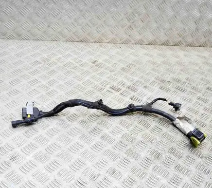 Maserati Quattroporte Other wiring loom 670007516