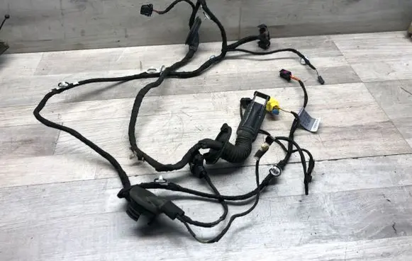 Audi Q5 SQ5 Front door wiring loom 8R0971030CN 01112013 TAB010766T