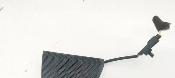 Chevrolet Captiva Front door speaker GE17H