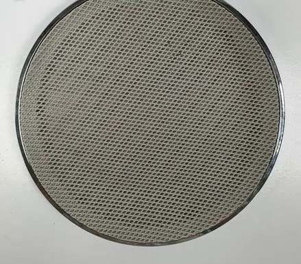 Mercedes-Benz A W169 Rear door speaker cover trim A1696950195