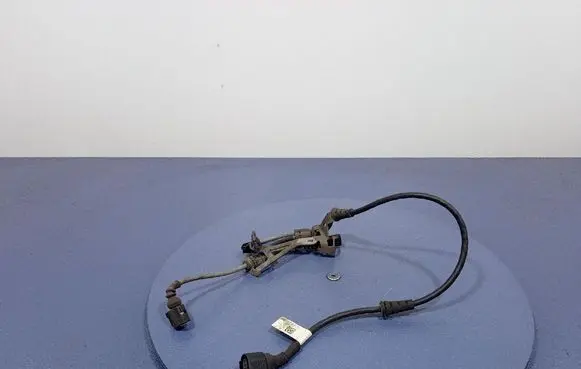 Porsche Panamera (970) Other wiring loom 971971279