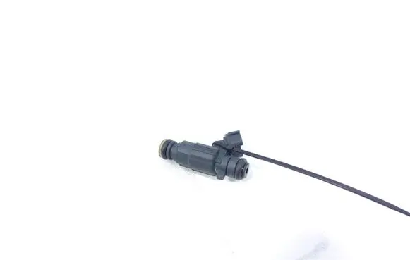 Fuel injector