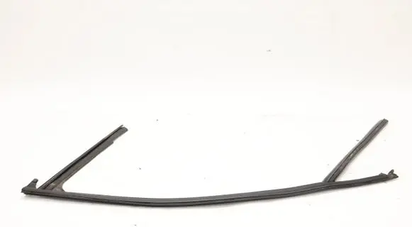 Audi A1 Rubber seal front door (on door) 