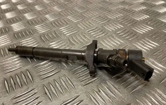 Citroen C4 I Fuel injector 0445110297