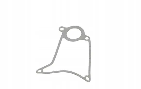 Iveco Daily 6th gen Water pump 500301322