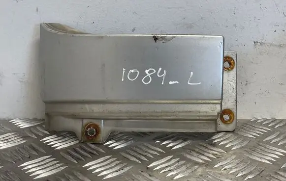 Rear/tail light trim molding