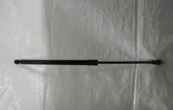 Tailgate strut