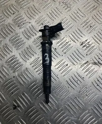 Renault Latitude (L70) Fuel injector 482513295 0445115047