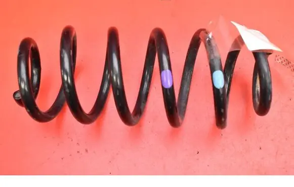 Rear coil spring