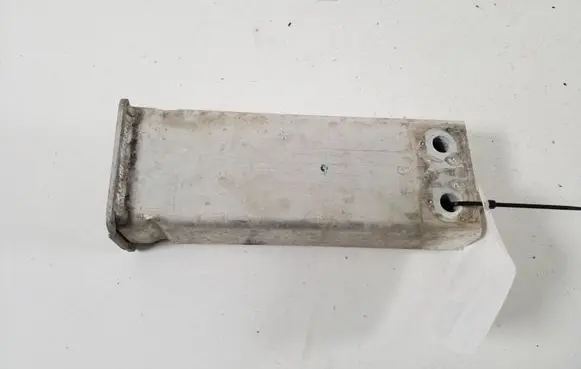 Tesla Model 3 Front bumper shock/impact absorber 110919300C