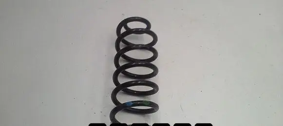 Renault Kadjar Rear coil spring