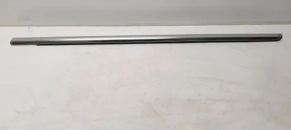 Front door trim (molding)